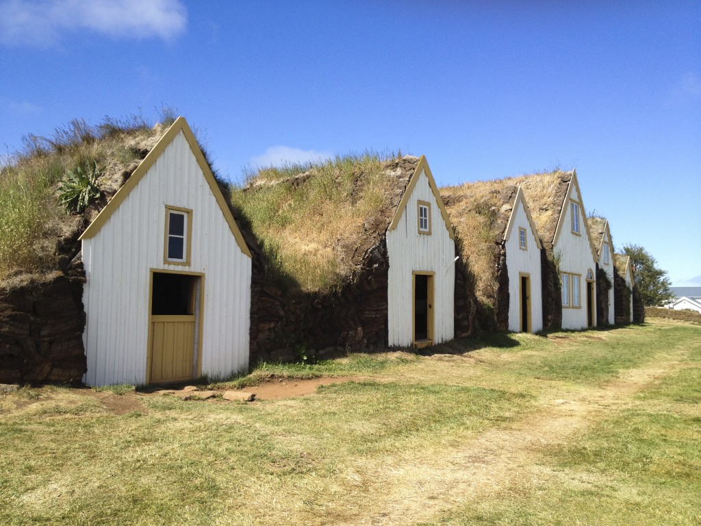 Grashäuser in Island. 