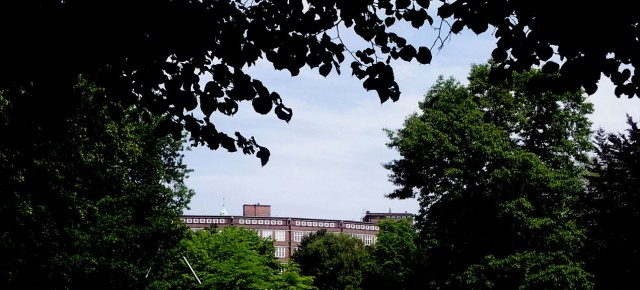 Unter Tränen (6): Im Park