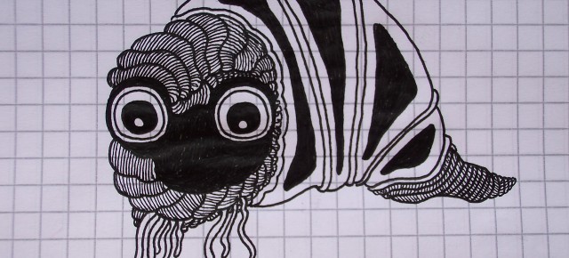Die Spur der Nachtschnecke